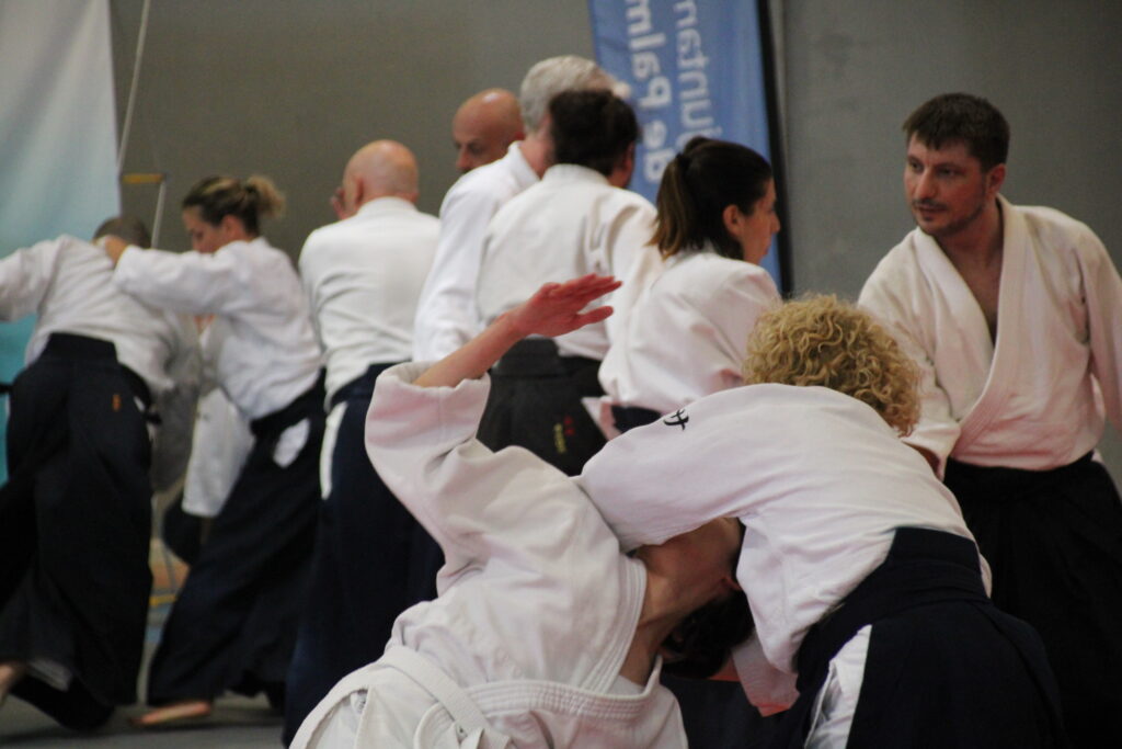 Seminario Hayato Osawa Shihan 2026, Álbum 2, foto 0408