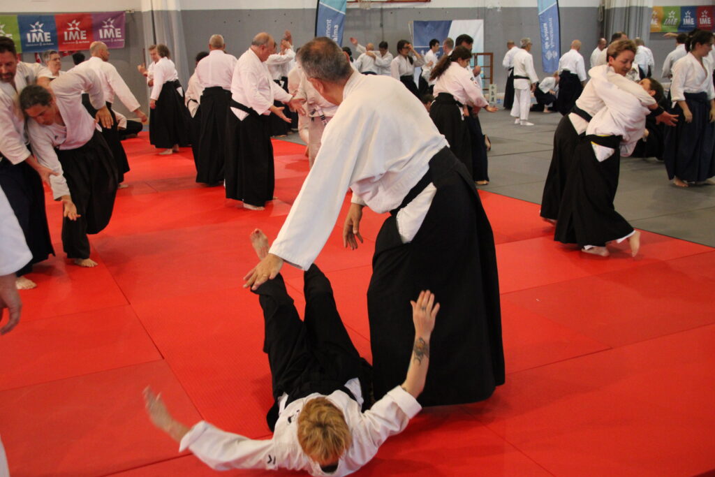 Seminario Hayato Osawa Shihan 2026, Álbum 2, foto 0435