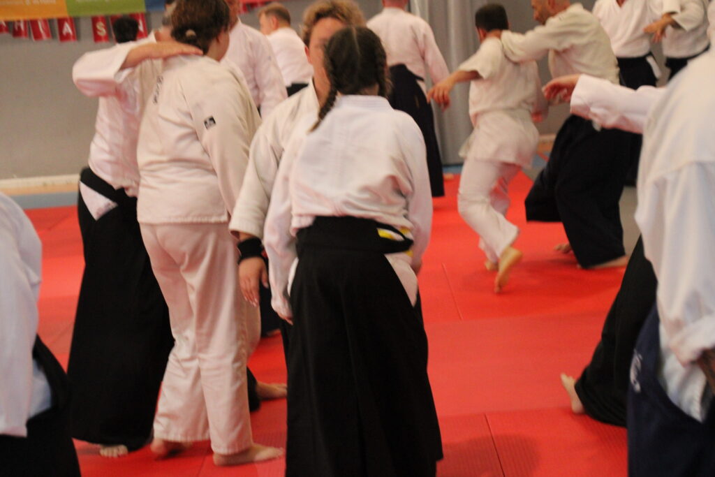 Seminario Hayato Osawa Shihan 2026, Álbum 2, foto 0440