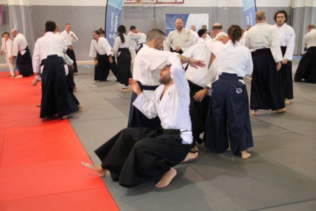 Seminario Hayato Osawa Shihan 2026, Álbum 2, foto 0441