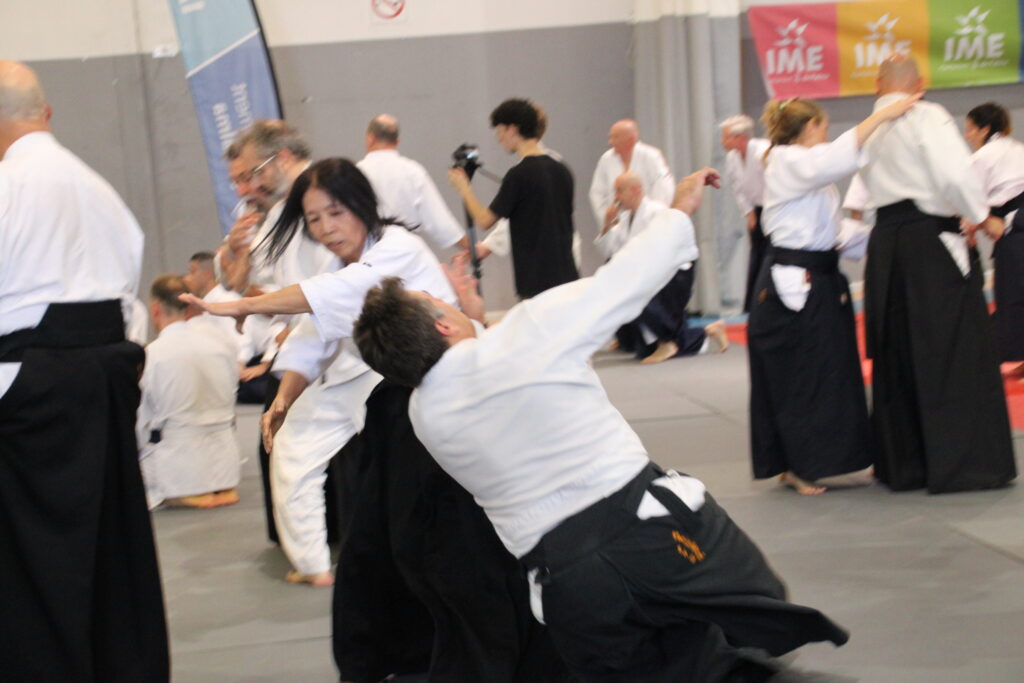 Seminario Hayato Osawa Shihan 2026, Álbum 2, foto 0451
