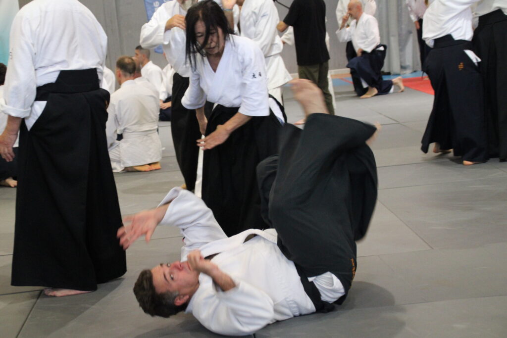 Seminario Hayato Osawa Shihan 2026, Álbum 2, foto 0452