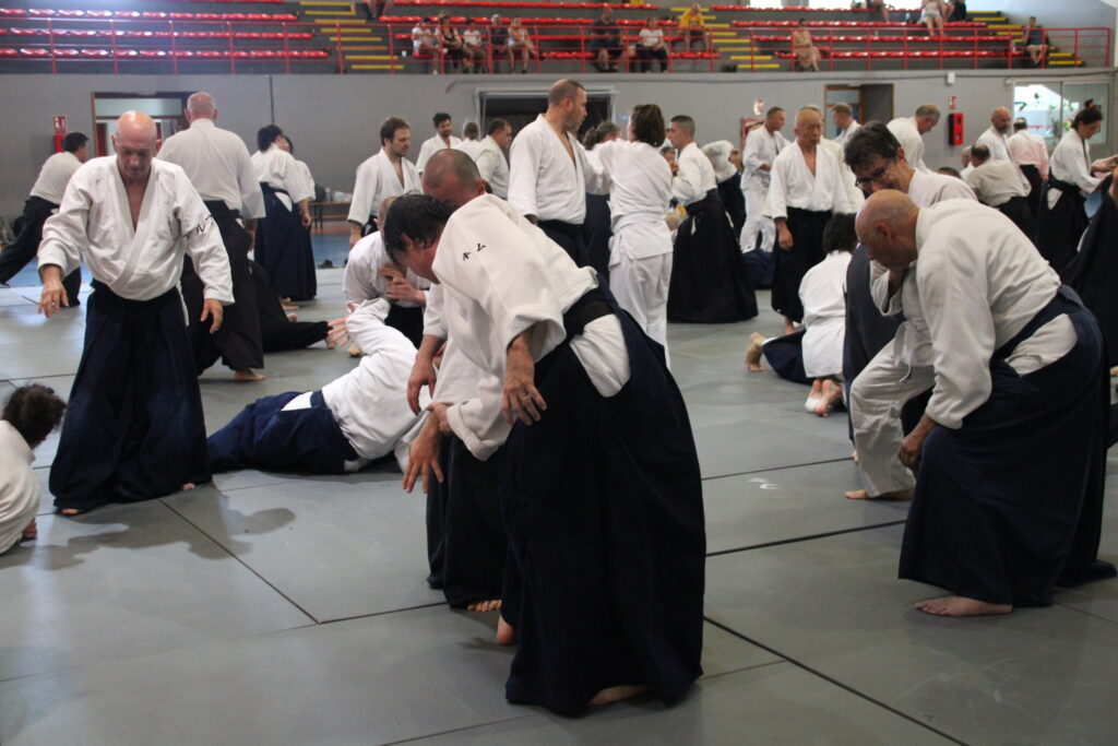 Seminario Hayato Osawa Shihan 2026, Álbum 3, foto 0010