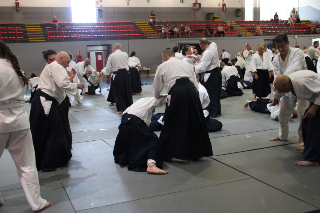 Seminario Hayato Osawa Shihan 2026, Álbum 3, foto 0011