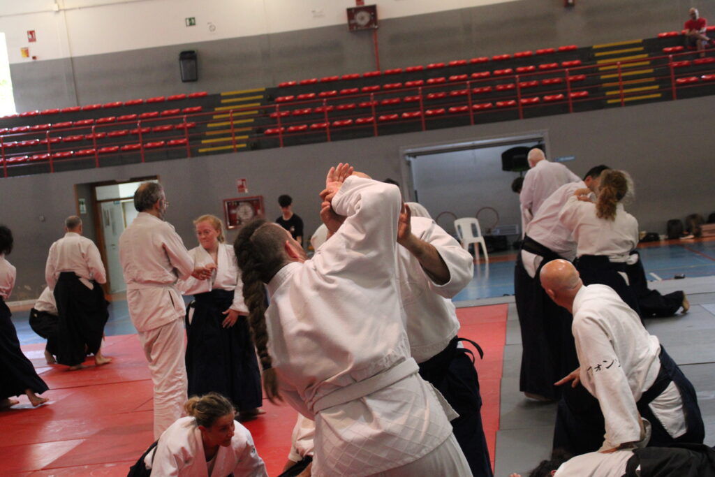 Seminario Hayato Osawa Shihan 2026, Álbum 3, foto 0014