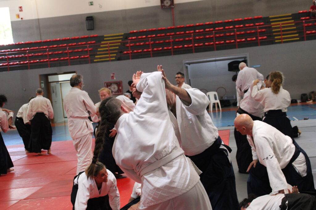 Seminario Hayato Osawa Shihan 2026, Álbum 3, foto 0015