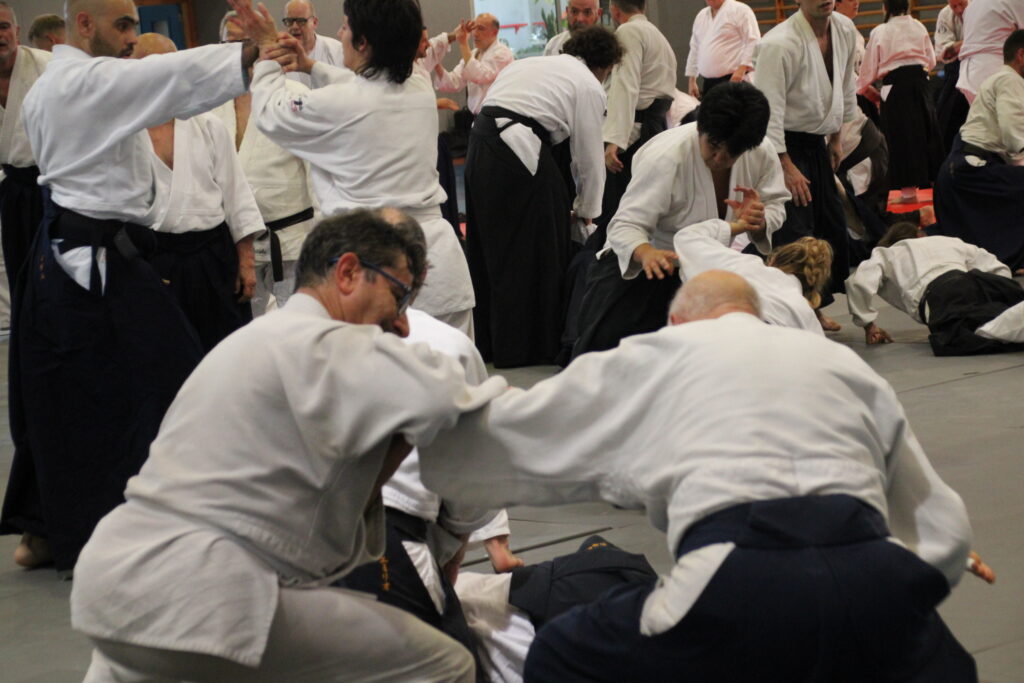 Seminario Hayato Osawa Shihan 2026, Álbum 3, foto 0016