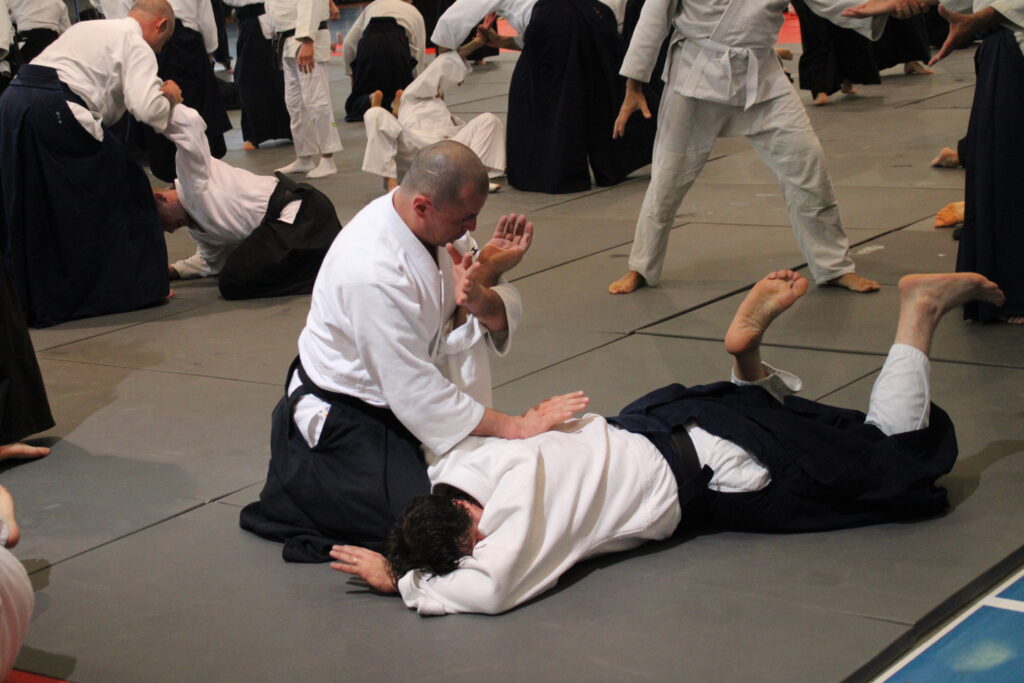 Seminario Hayato Osawa Shihan 2026, Álbum 3, foto 0019