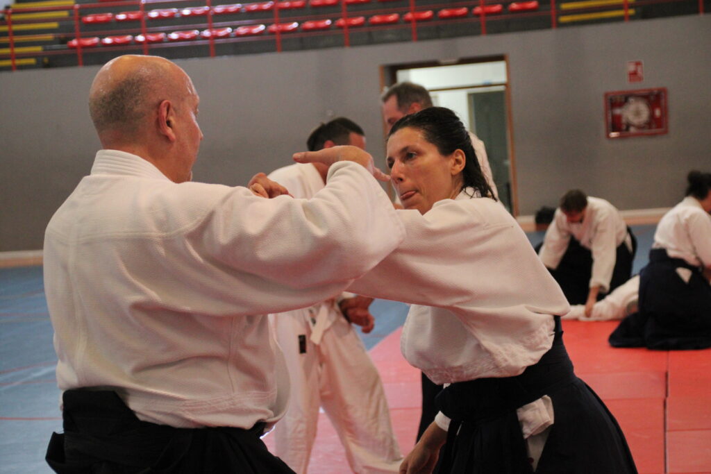 Seminario Hayato Osawa Shihan 2026, Álbum 3, foto 0025