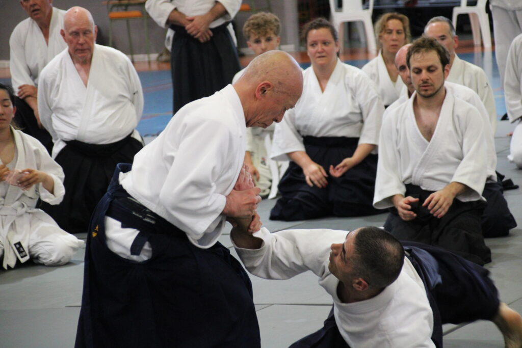 Seminario Hayato Osawa Shihan 2026, Álbum 3, foto 0029