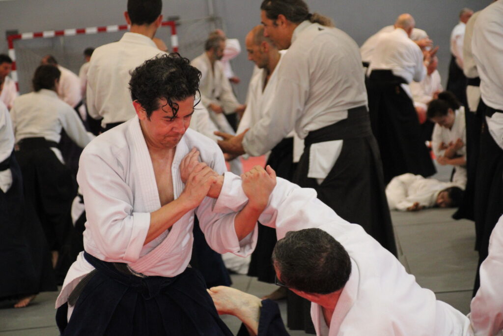 Seminario Hayato Osawa Shihan 2026, Álbum 3, foto 0033