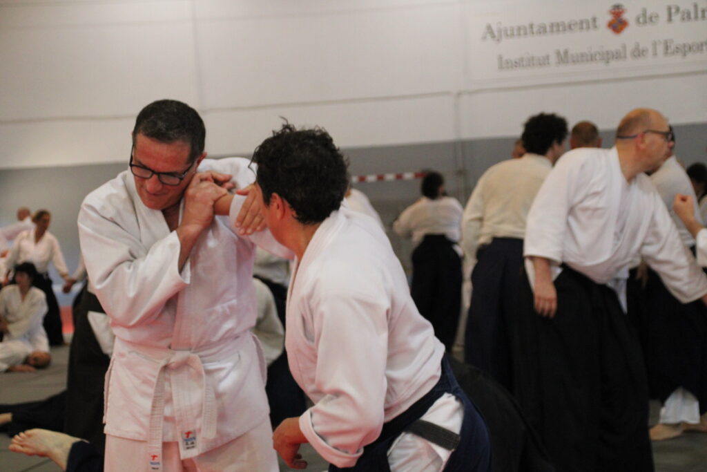 Seminario Hayato Osawa Shihan 2026, Álbum 3, foto 0035