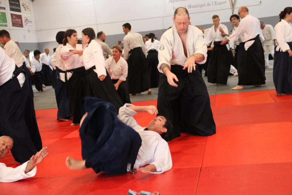 Seminario Hayato Osawa Shihan 2026, Álbum 3, foto 0045