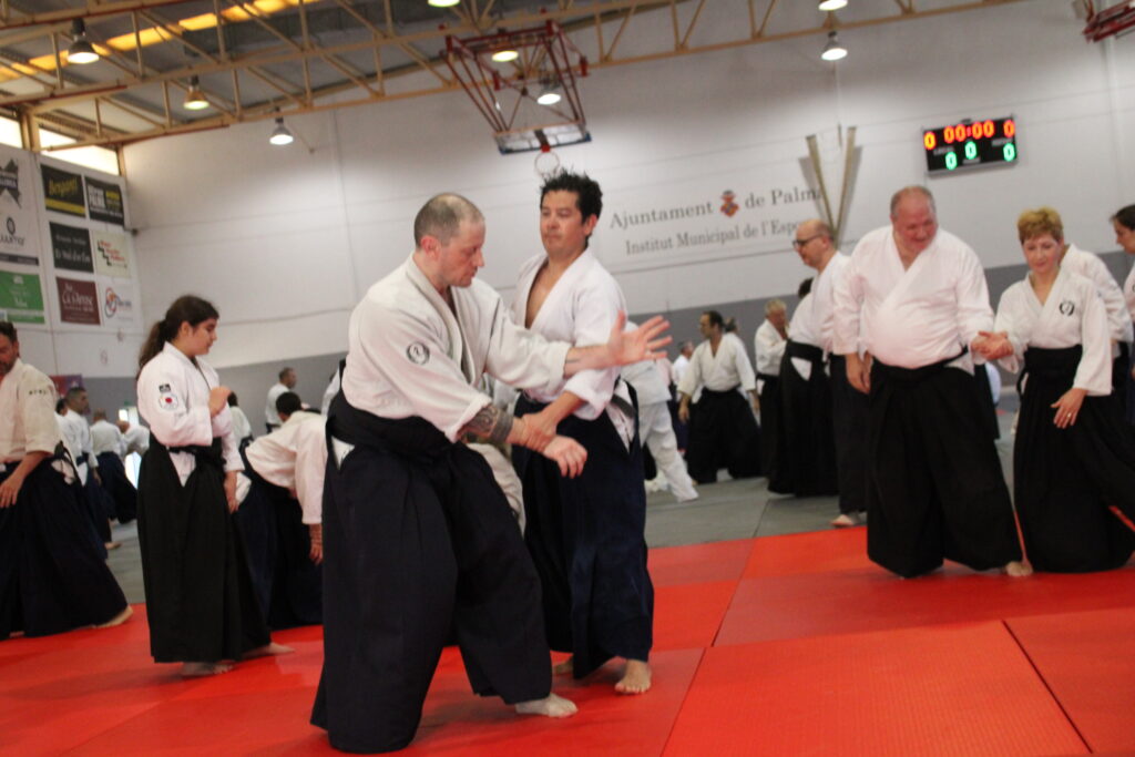 Seminario Hayato Osawa Shihan 2026, Álbum 3, foto 0046