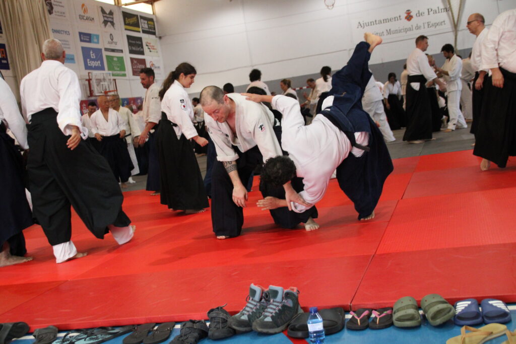 Seminario Hayato Osawa Shihan 2026, Álbum 3, foto 0048
