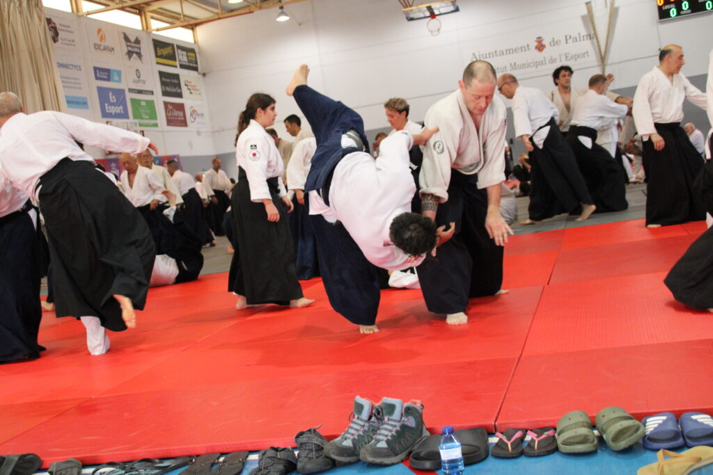 Seminario Hayato Osawa Shihan 2026, Álbum 3, foto 0051