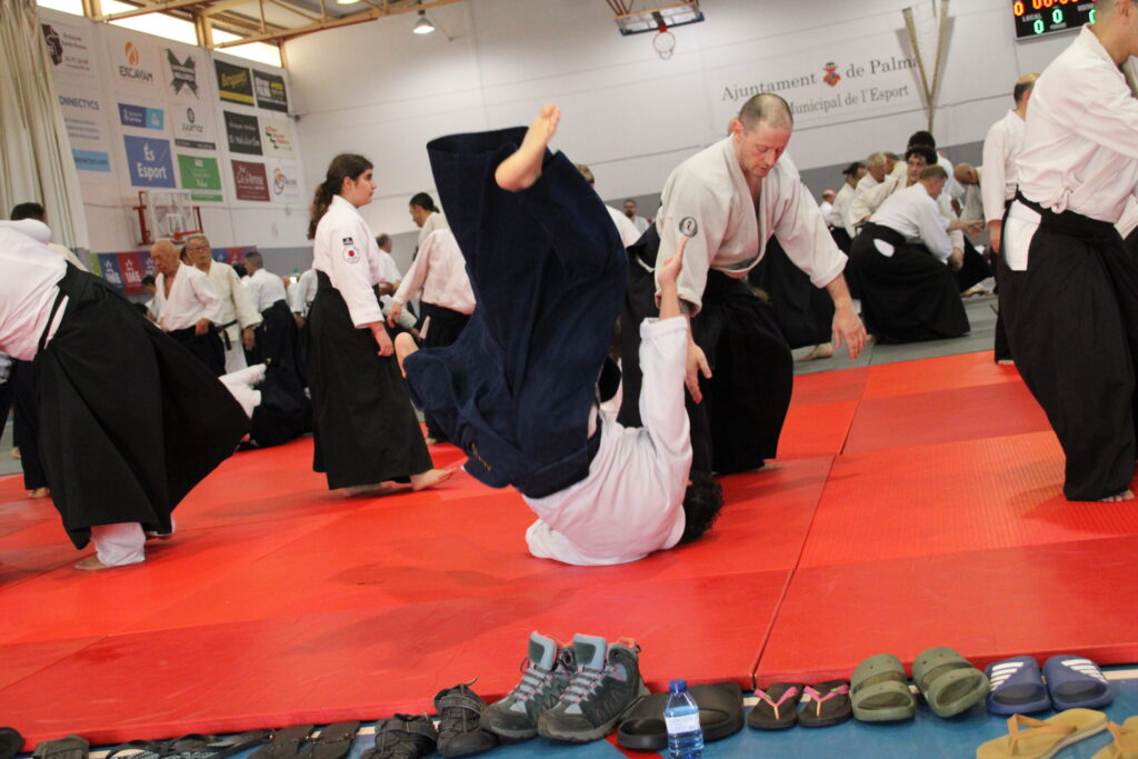 Seminario Hayato Osawa Shihan 2026, Álbum 3, foto 0052
