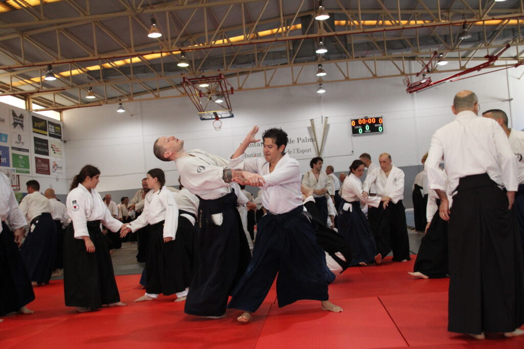 Seminario Hayato Osawa Shihan 2026, Álbum 3, foto 0053