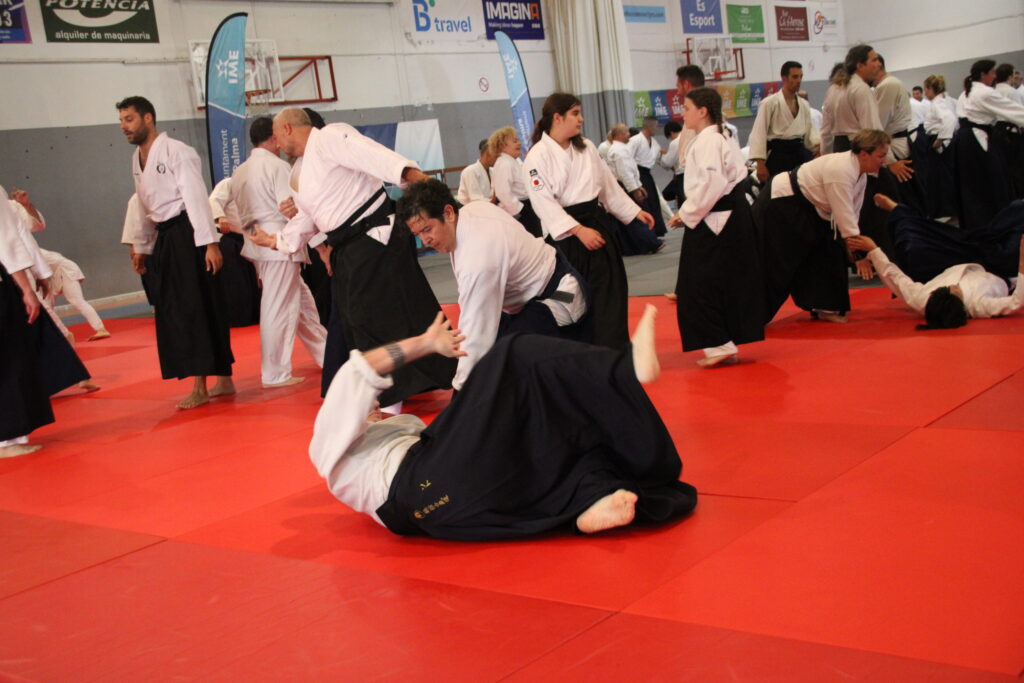 Seminario Hayato Osawa Shihan 2026, Álbum 3, foto 0059