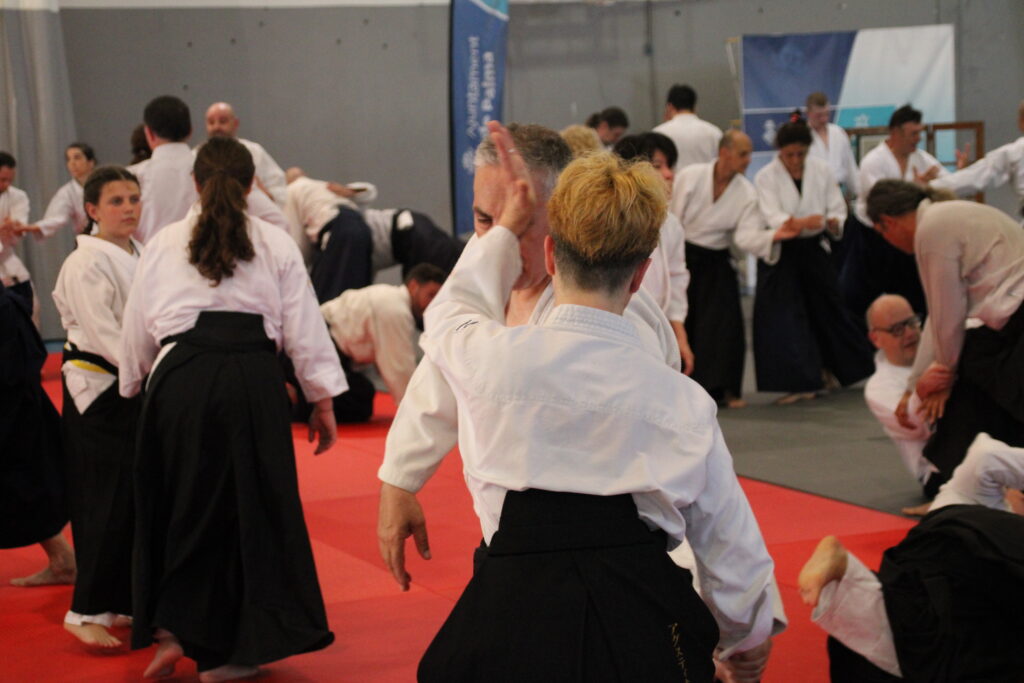 Seminario Hayato Osawa Shihan 2026, Álbum 3, foto 0061