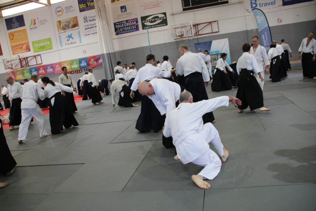 Seminario Hayato Osawa Shihan 2026, Álbum 3, foto 0067