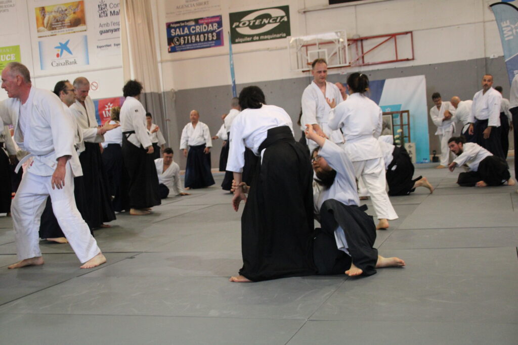 Seminario Hayato Osawa Shihan 2026, Álbum 3, foto 0072
