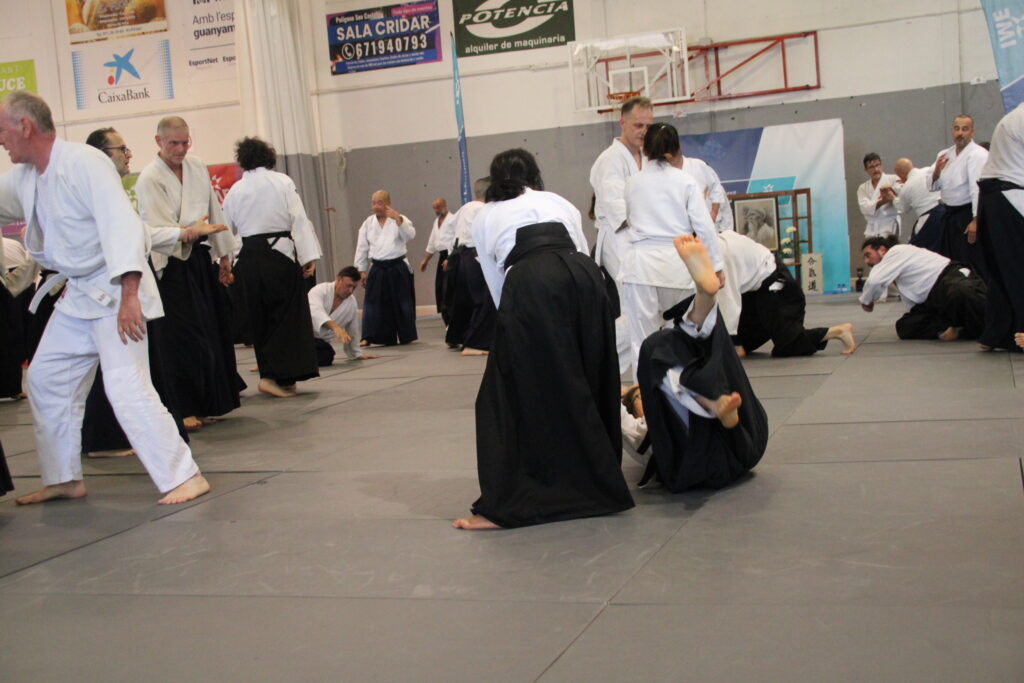 Seminario Hayato Osawa Shihan 2026, Álbum 3, foto 0073