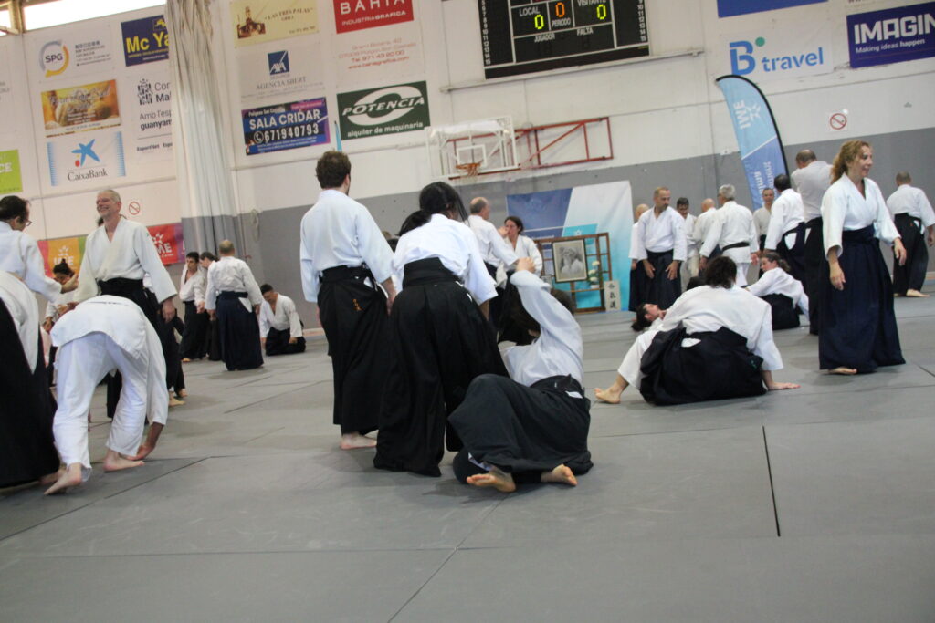 Seminario Hayato Osawa Shihan 2026, Álbum 3, foto 0078