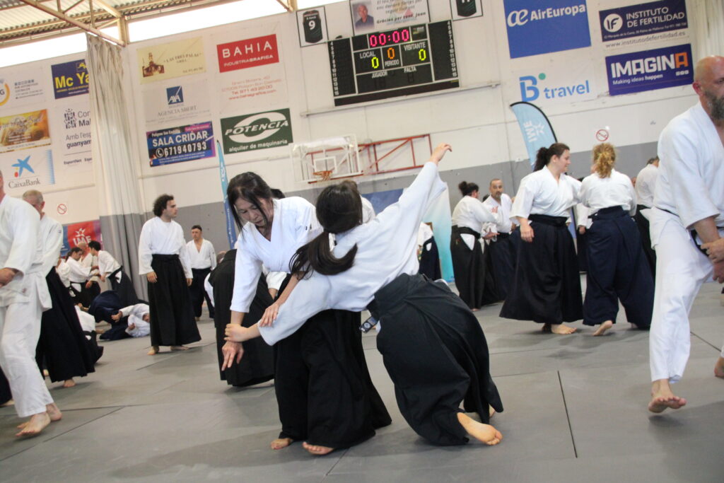 Seminario Hayato Osawa Shihan 2026, Álbum 3, foto 0079