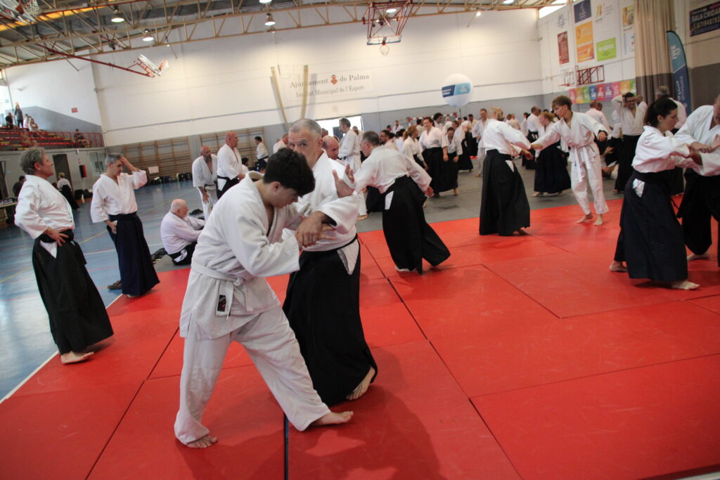 Seminario Hayato Osawa Shihan 2026, Álbum 3, foto 0084