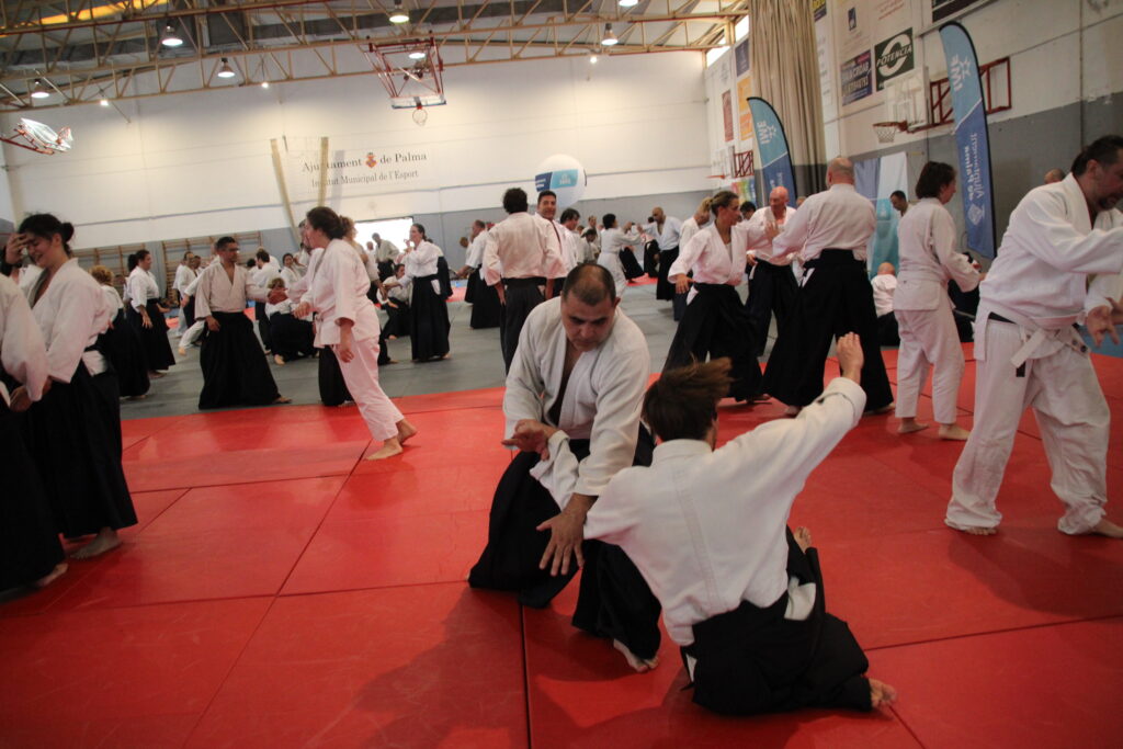 Seminario Hayato Osawa Shihan 2026, Álbum 3, foto 0087