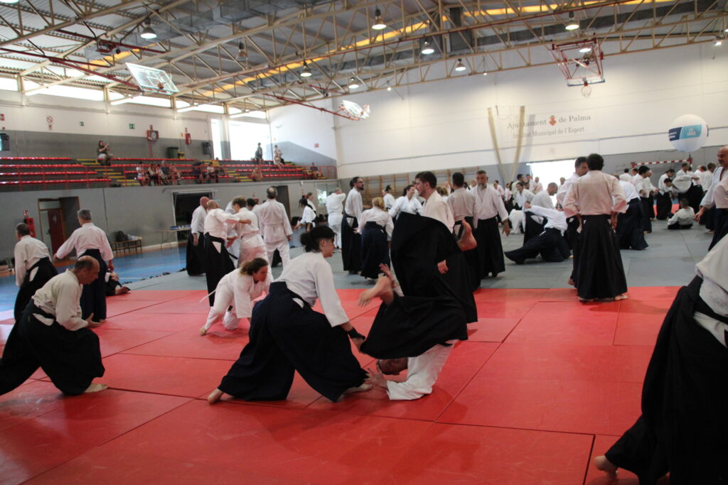 Seminario Hayato Osawa Shihan 2026, Álbum 3, foto 0088