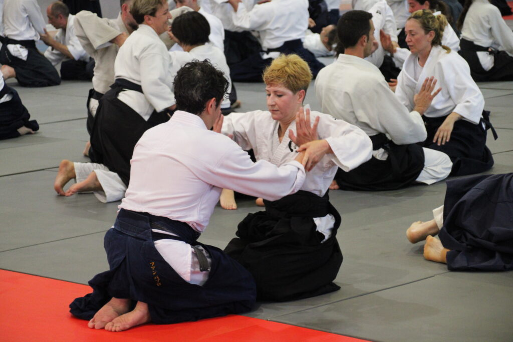 Seminario Hayato Osawa Shihan 2026, Álbum 3, foto 0104