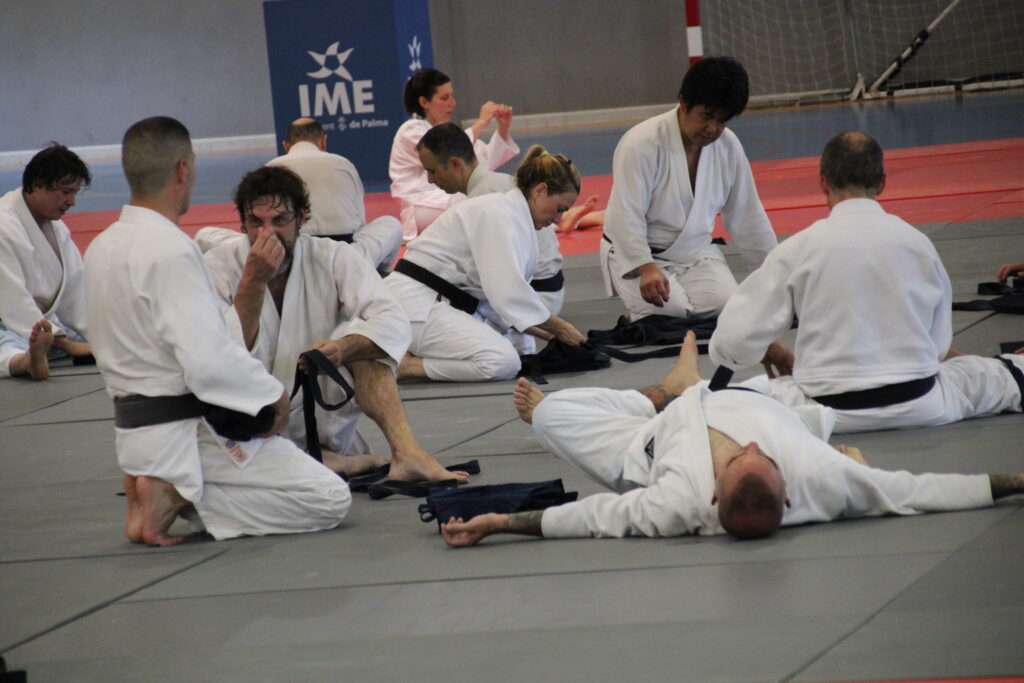 Seminario Hayato Osawa Shihan 2026, Álbum 3, foto 0149