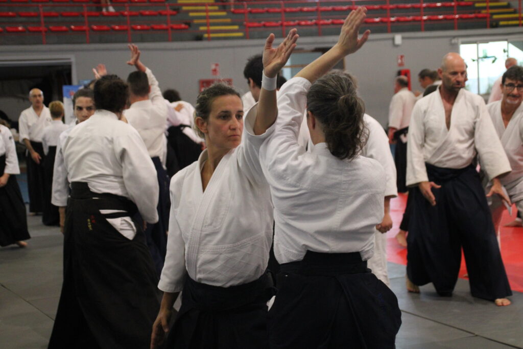 Seminario Hayato Osawa Shihan 2026, Álbum 3, foto 0200